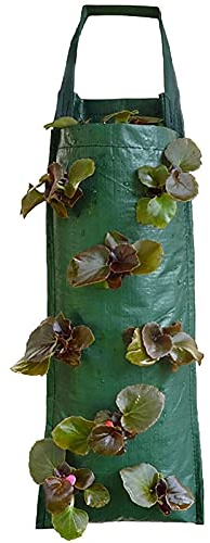 2 Stück Erdbeere Pflanzsack, Pflanzbeutel Hängend Pflanzen Tasche, Multi Port Grow Tasche Mit Griffe, Erdbeeren Zuchtbeutel Atmungsaktive Stoff-Blumentöpfe Für Pflanzen/Kräuter/Blumen/Gemüse