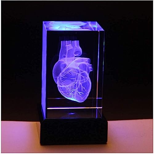 Anatomisches Kristallherz, anatomisches Modell, 3D-Briefbeschwerer, Kristallglas-Würfel, wissenschaftliches Geschenk, Souvenir, LED-Basis, maßgeschneiderte medizinische Geschenk-Ornamente für Ärzte