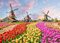AveJoys Puzzle für Erwachsene 1000 Teile Windmühle Tulip 70 x 50 cm Puzzles für Erwachsene Pädagogisches Spiel Herausforderung Spielzeug 1000 Teile Puzzles für Erwachsene Kinder