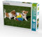 CALVENDO Puzzle Jack Russel Welpen 1000 Teile Puzzle quer | 1000 Teile Lege-Größe 64 x 48 cm Foto-Puzzle für glückliche Stunden