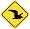 Samunshi® Möwe Warnschild Warndreieck Aufkleber Achtung Vorsicht Tier - 25x25cm mehrfarbig