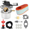 Wjelet 591137 590948 Carburetor for Briggs Stratton 111P02 114P02 11P902 121Q02 121Q07 121S02 121S07 121S75 124Q02 Pressure Washer 775EX TB360 Lawn Mower Tractor Carb with 795066 Air Filter