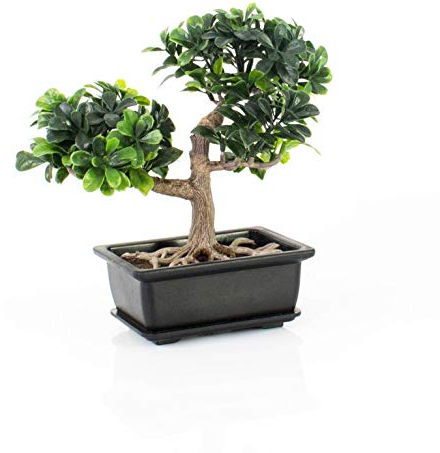 artplants.de Künstlicher Buchs Bonsai in Dekoschale, 20cm - Kunstbonsai