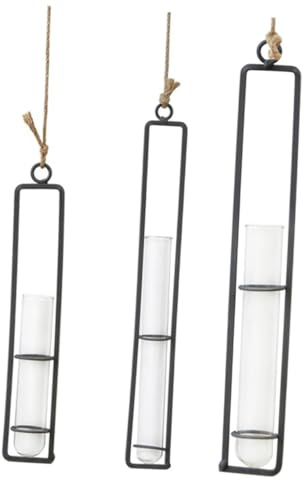 TOBBOMEY 2 STÜCK Glas Blumentöpfe mit Stabilem Eisenrahmen Transparente Hängende Wandvasen für Zimmerpflanzen Kreative Dekoration für Wohnzimmer Büro und Garten S