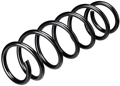 lesjofers 4019108 Coil Spring Front
