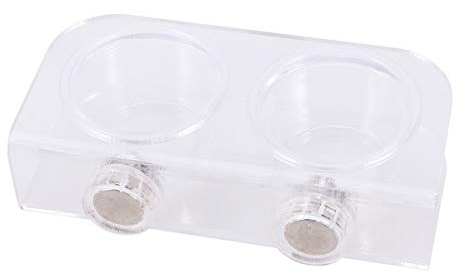 POPETPOP Reptiliennäpfe-Gecko Feeder Cups Saugnapfnäpfe für Haustiere mit 10 Näpfen für Tortoise Reptile Spider Snake-Small
