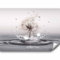 murando - Papier peint panoramique nature 350x256 cm - Revêtement mural décoration pour chambre salon cuisine - Design unique et moderne - Beige gris - Pissenlits l'eau fleurs nature b-C-0732-a-a