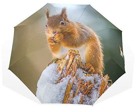 TropicalLife Regenschirm Winter Tierwelt Eichhörnchen Tier Winddicht 3 Falten Regenschirm für Frauen Männer Mädchen Jungen Unisex Ultraleicht Outdoor Reisen Kompakter Regenschirm, multi, Einheitsgröße