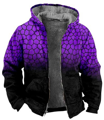KONG JIMFAN Übergangsjacke Herren Männer Hoodie Field Jacket Herren Stehkragen Jacke Kuscheljacke Herren Strickjacke Zip Hoodie Y2k Kapuzenpullover Hoodie Gefütterte Highschool Jacke(Blue,XL)