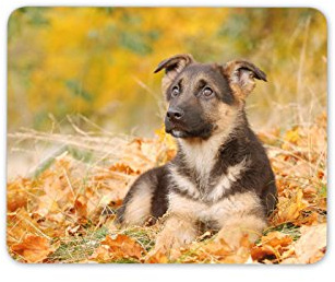 Destination Vinyl Ltd German Shepherd Puppy Mouse Mat Pad - Dog Alsatian Dogs Computer #8640