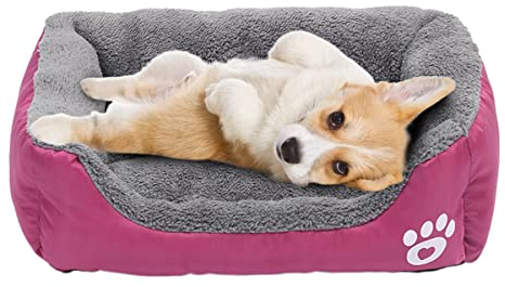 Powerking Lit pour Chien, Coussin de Tapis imperméable pour Animal de Compagnie et Coussin de Couchage pour Chat Kitty et Petit Chien Chiot, Doux et Lavable(Rose)