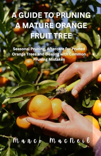 A GUIDE TO PRUNING A MATURE ORANGE FRUIT TREE: Seasonal Pruning, Aftercare for Pruned Orange Trees and Dealing with Common Pruning Mistakes