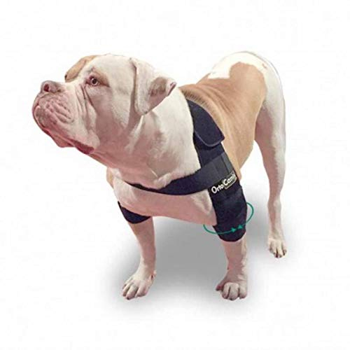 Ortocanis - Ellenbogenorthese für Hunde mit Ellenbogenarthrose, Hygromen oder Schulterluxation, Größe L