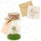 UGBO Idea Regalo Donna Vera Leone in Vetro Fiore Stabilizzato Fiori Stabilizzati Veri Regali Natale, Compleanno, Anniversario Idea Regalo per lei