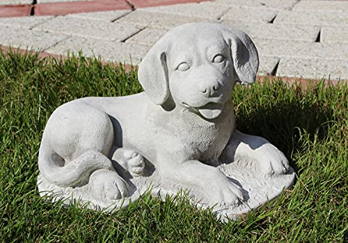 Beton Figur Hund Labrador Retriever Welpe liegend H 17 cm Tierfigur Dekofigur und Gartenfigur