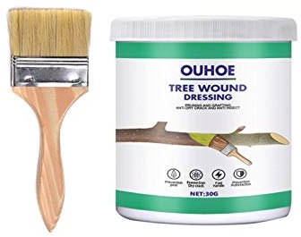 Renywosi Mastic Cicatrisant pour Arbre, Mastic À Cicatriser Arbre Restez Hydraté Arbre Découpe Pâte avec Brosse, pour La Greffe De Plantes De Jardin, Cicatrisant Et Protecteur (30g)