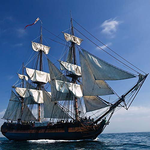 1art1 Piraten Poster Segelschiff II Kunstdruck Bild 40x40 cm