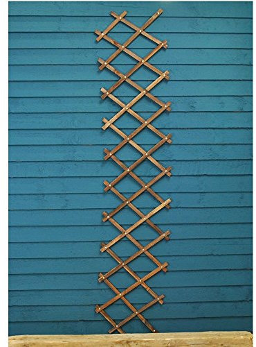 Hd Exp Trellis Tan 1.8x0.3m, Multi-colour, 4011001