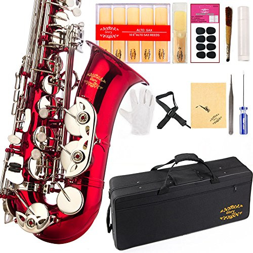 Glory Rot/Silberne Tasten E flaches Altsaxophon mit 11 Blättern, 8 Kissen, Etui, Carekit