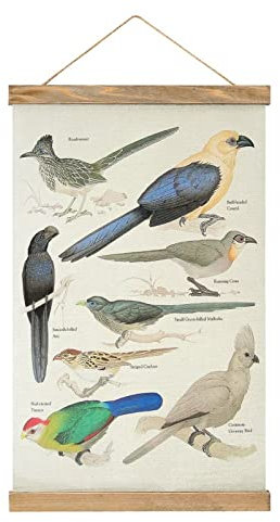 Cuculiformes And Roadrunner Scroll-Poster, Stoffbild, Kunst, Holzrahmen, hängender Druck, Aufhänger für Raumdekoration, Öl-Leinwand-Kit, Geschenk