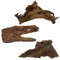 AquaOne Mangrovenwurzel Gr.XL 1 Stück 70-80 cm Aquarium Mangrove Holz Natur Aquascaping Dekoration Landschaft Natur Echtholz Wurzel