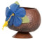 DEGUISE TOI Hawaii Becher Kokosnuss Kunststoff - Braun