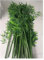 Bambou Arbres Plantes Artificiels 2m 1.8m 1.5m De Hauteur Plantes En Bambou Artificielles Extérieures, Écran Ornemental Résistant Aux UV Cloisons Et Cloisons De Bricolage Pour Décor Patio/bureau/halls