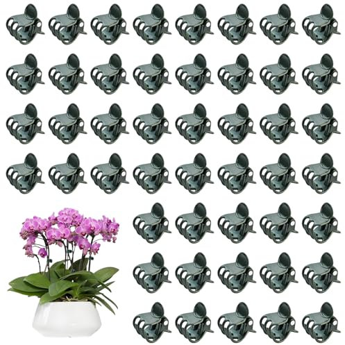 SYEYCW 100 Pcs Plant Clips for Climbing, Orchid Clips for Supporting Stems Vines, Plastic Orchid Stem Support, Garden Plants Support, for Climbing Flowers, Vegetables, Vines, Dark Green
