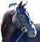 Caldene Trense Nasenriemen mit pull-back Braun Pony