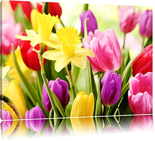 Pixxprint Farbenfrohe Osterglocken und Tulpen, Größe: 80x60cm, Leinwandbild, fertig gespannt, Wandbild, Dekoration, Kunstdruck, kein Poster