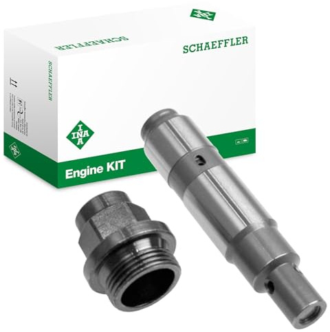 INA 551 0019 10 Steuerkettenspanner Kompatibel mit BMW 5 Limousine E39 1406261 11311406261
