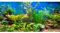 AWERT 72x24 inches Aquarium Background Aquatic Plant River Bed & Lake Fish Tank Background Vinyl