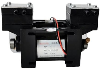 12V/220 High Positive and Negative Pressure Miniature Vacuum Pump, Large Flow Beauty Instrument Mute Double-head Diaphragm Pump(AC220)