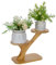 FINGERINSPIRE 3 Tier Bamboo Plant Stand Rack Small TableTop Succulent Plant Stand Windowsill Plant Shelf for Home Office Balcony Garden Patio Decoration