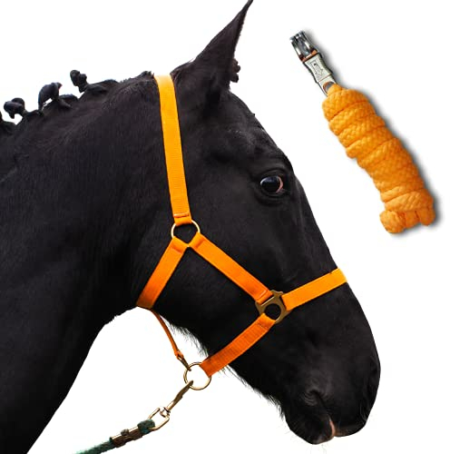 Halfter für Pferde mit Strick | Führstrick Pferd mit Halfter | Halfter Shetty, Pony, Vollblut, Full, X-Full mit Strick (Orange, Kaltblut)