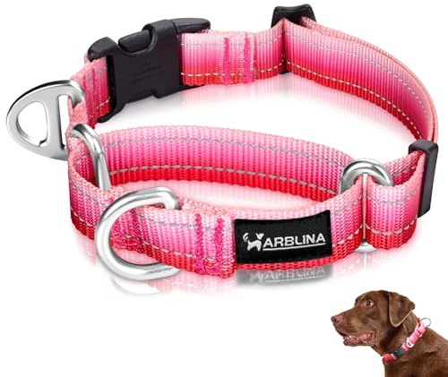 Arblina Martingale Hundehalsband, Reflektierendes Zugstopp Halsband Hunde für Große Mittlere und Kleine Hunde, Nylon Zughalsband mit Stopp für Hunde Whippets, Greyhounds, Saluki, Rosa,S