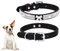 DWFEYOI personalisiert Leder Kristall Hundehalsband, verstellbares Katzenhalsband Bling Pu Leder Welpenhalsband Kristall Haustierhalsbänder für kleine Hunde Katzen Halsbandzubehör(Schwarz)