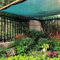 Housse de protection en tissu 90 % pour jardin, protection solaire, serre, terrasse, pour plantes, fleurs, abris auto, 2 x 5 m
