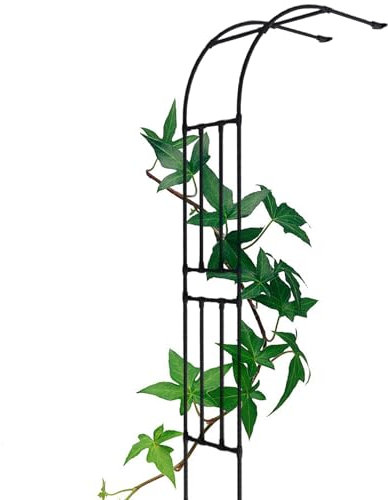DMCHENGMA Gartenspalier für Kletterpflanzen, stabiles Garten-Spalier mit Halbbogen, Metallspalier für Gartenrosen, Kirschtomaten, Erbsen, Topfpflanzen, Klettern im Freien(300CMx40CMx240CM)