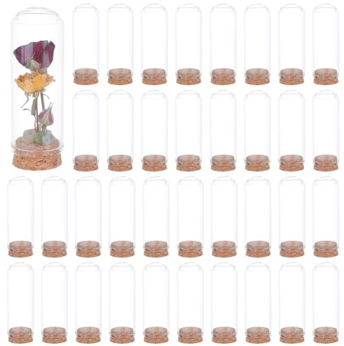 BENECREAT 48 Sets Dome Decorative Display Case, 80x30mm(3.1x1.1inch) Dome Decorative Jars, Display Cloche for Flower Storage, Specimens, Crafts Decorations