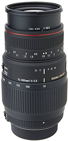 Sigma Objectif Macro 70-300 mm F4-5,6 DG APO motorisé - Monture Nikon
