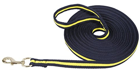Kerbl 321492 Softlonge 8 m, blau / gelb