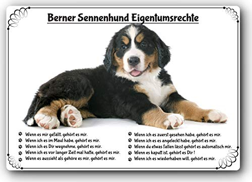 Merchandise for Fans Blechschild/Warnschild/Türschild - Aluminium - 15x20cm Eigentumsrechte Motiv: Berner Sennenhund (01)