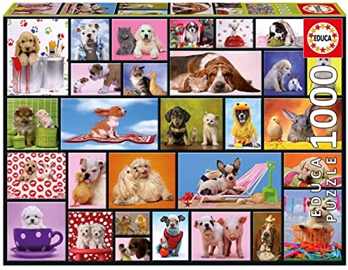 Educa 15518 Borras Puzzle Shared Moments (1000 Pieces)