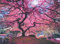 Anatolian ANA1037 Puzzle mit rosa Baum, Schädlingsbekämpfer v.407