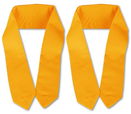 Bestlivings Raffhalter 2er Pack inkl. Befestigungsösen für Gardinen (Hell-Orange), viele Farben erhältlich