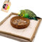 Vogelgaleria Planchette avec Bol en Noix de Coco Amovible Mangeoire pour Oiseaux