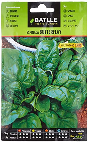 Semillas Batlle Espinaca BUTTERFLAY