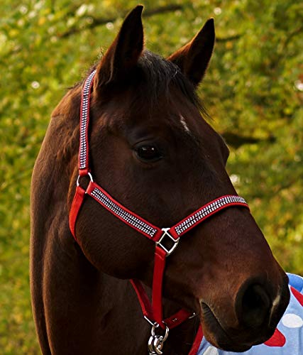 Glitzer Halfter Knallrot ROT Bling w.Strass Nylon MS S P VB WB Extra Full Tysons ! (Shetty)