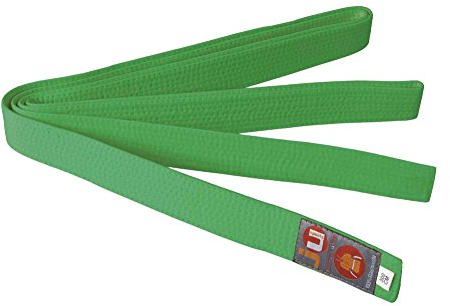 Ju-Sports Budogürtel - grün, Baumwolle I Kampfsport Gürtel Für Budo-Sportarten, Judo, Karate, Kickboxen & mehr I Ca. 4 cm breiter Martial Arts Gürtel I 240 cm
